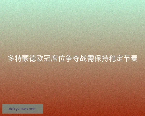 多特蒙德欧冠席位争夺战需保持稳定节奏 多特蒙德欧冠席位争夺战需保持稳定节奏