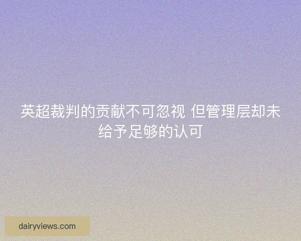英超裁判的贡献不可忽视 但管理层却未给予足够的认可